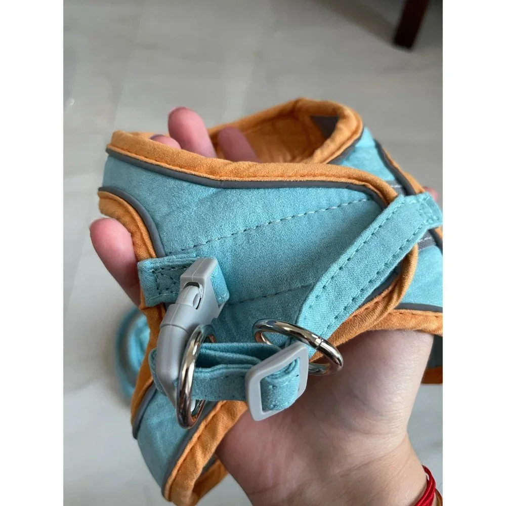 Custom pet harness with leash | Custom dog harness with leash